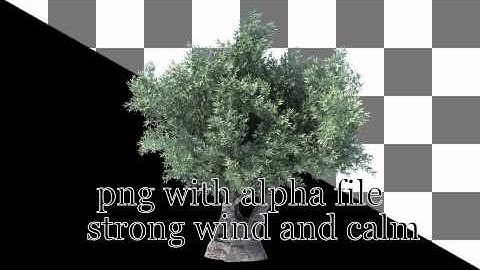 Motion Graphics - Animated Olive Tree | VideoHive