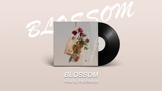 [무료비트] 크러쉬 X 딘(Dean) X 이하이 타입 RnB 비트 「 BLOSSOM 」 (Prod. by PADOBDADA) / RnB 타입 비트 / R&B Beat