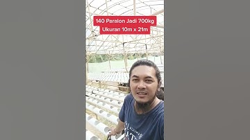 Thumbnail of Greenhouse Mitra Seledri Hidroponik Dengan Bahan Kayu Dan Bambu