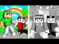 MINECRAFT MA ABBIAMO PERSO I COLORI!
