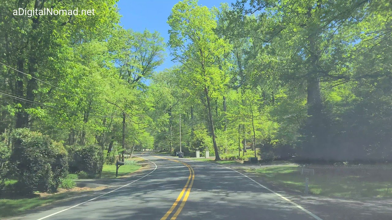 Utility Lines DOWN on Rector Road in McLean, Virginia