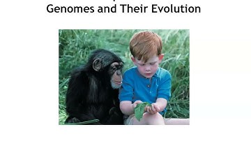 Chapter 21 Genomes & Their Evolution