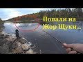 Download Осенний Жор щуки. Рыбалка в Карелии Осенью. Голодные Щукари! Глухие места. Осенний Жор щуки. Рыбалка в Карелии Осенью. Голодные Щукари! Глухие места.