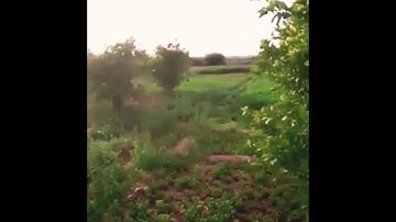 تلاوة عطرة لما تيسر من سورة إبراهيم