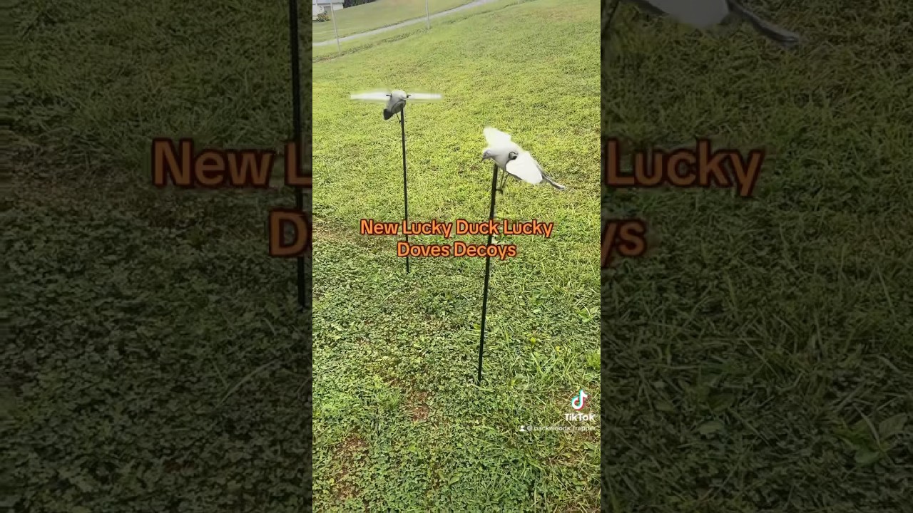 Lucky Dove HD Decoys 