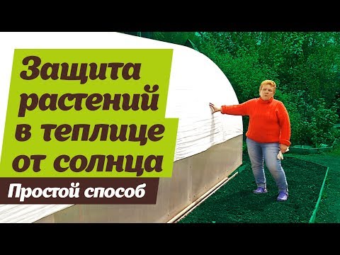 Видео: Должны ли теплицы находиться на полном солнце?