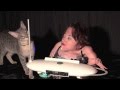 Dwarf and savannah cat playing a theremin