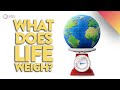 Biomass - How Much Does Life on Earth Weigh?