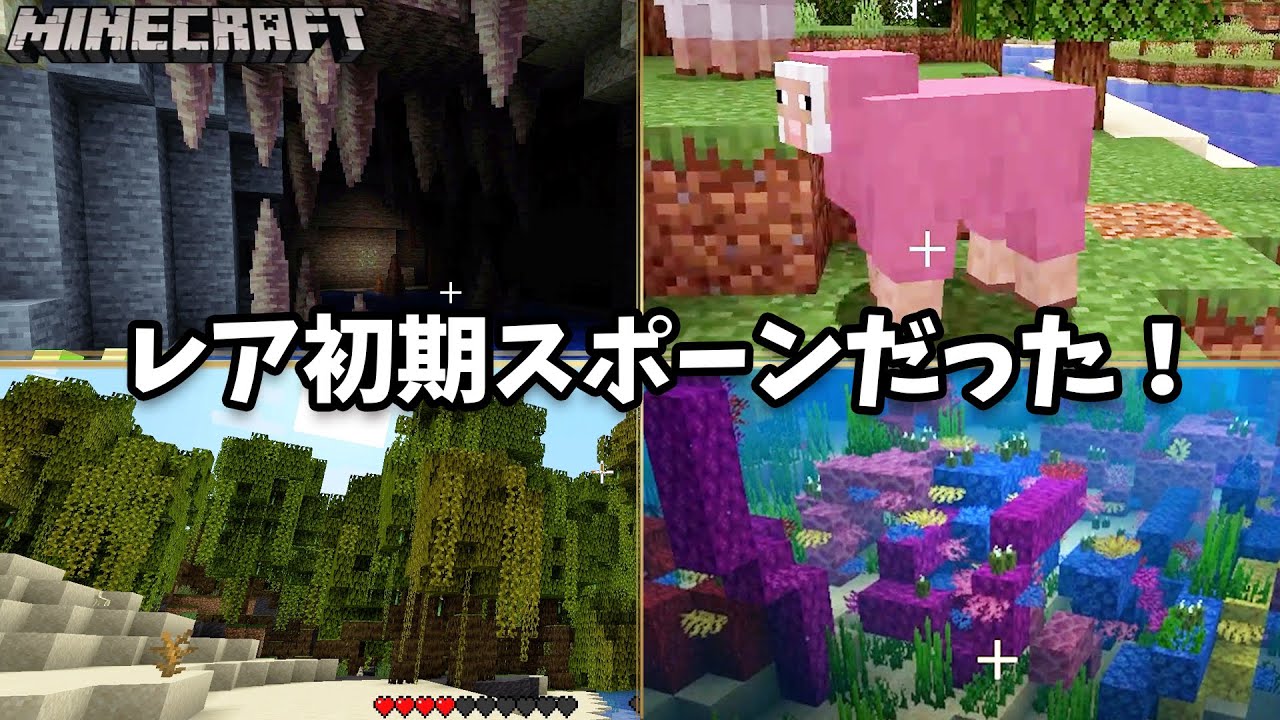 最初に作ったワールドがレアな初期スポーン地点だった事が判明 