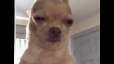 Chrome dinosaur game but on Godot 3.5 with a lot less graphics