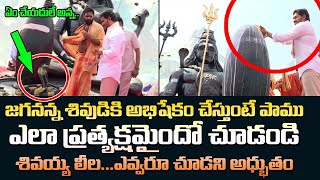 CM Jagan Mohan Reddy Maha Shivaratri Special Pooja at Gudivada Temple | Kodali Nani