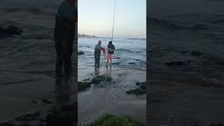Tamberas en La Barra, Maldonado, Uruguay