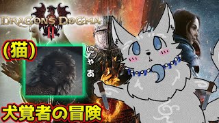 【ドラゴンズドグマ2】＃17　ラスト直前！未探索の洞窟探検するアリズン犬⚔🐺【Dragon's Dogma2】【津軽弁狛犬Vtuber】