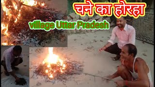 चन क हरह Chane Ka Horaha Blog Village Uttar Pradesh Sukath Meja Prayagraj Chane Ki Kheti