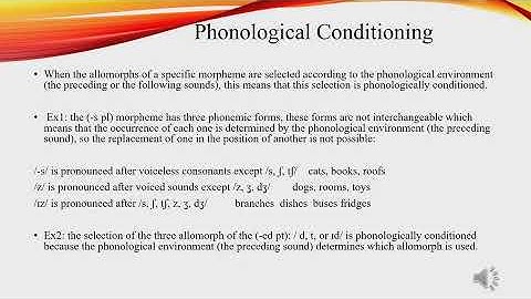 phonological and morphological conditioning