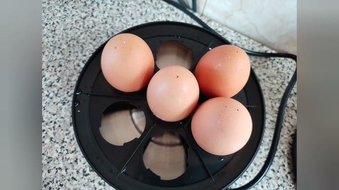 VIGIND Hervidor eléctrico para huevos suave, medio o duro, capacidad de 14  huevos, máquina de huevos de dos capas, vaporizador de huevos, con apagado