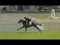 Lot 50 - CAPTAIN OF ALL - UNDERTHEMISTLETOE