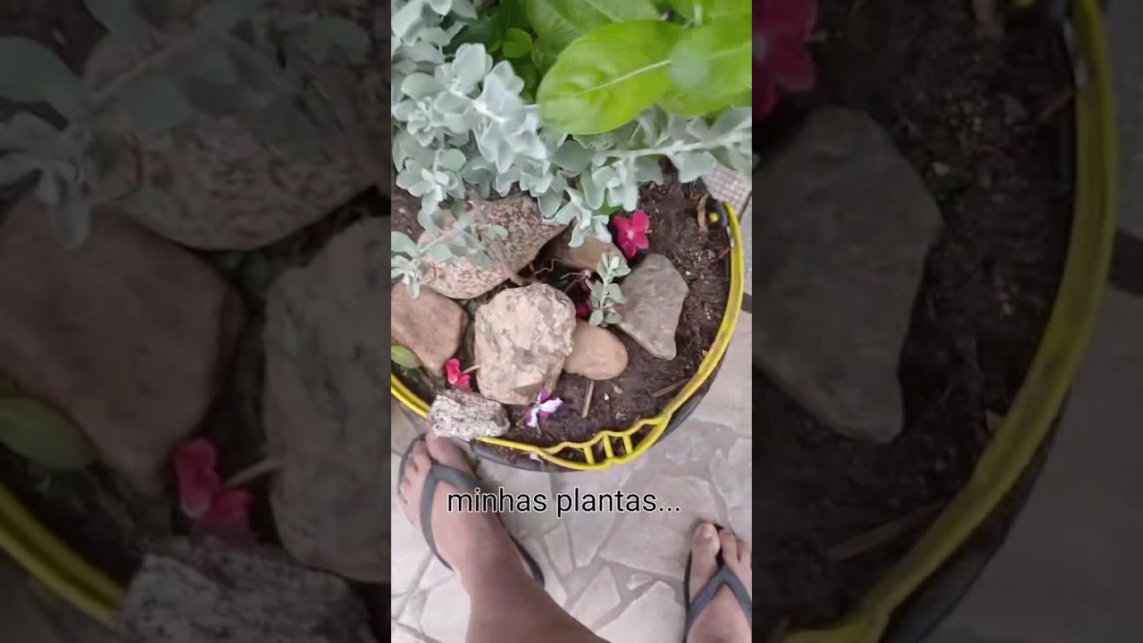 10 de janeiro de 2026