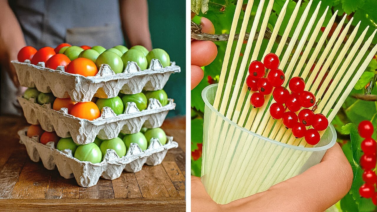 GARDENING FOR BEGINNERS!   Super Easy Plant Hacks Anyone Can Do! ✨