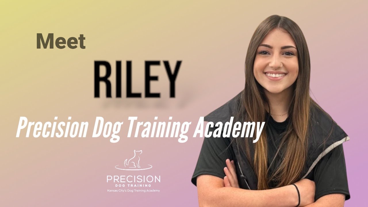 Meet Riley - Professional dog trainer