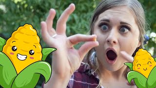 The Growing Corn Song | Songs for Kids | WigglePop!