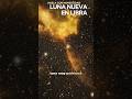 Luna Nueva en Libra: Renueva tu Equilibrio y Armonía