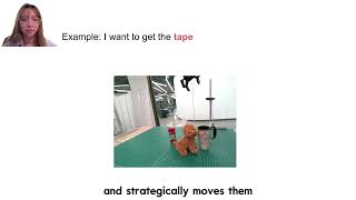 Corl 2024Thinkgrasp Spotlight Video