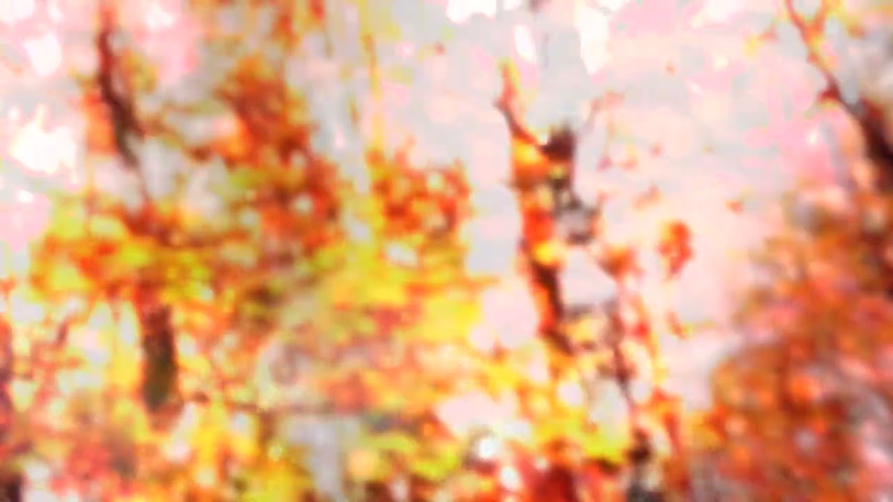 Watch flimmer – twine on YouTube Watch flimmer – twine on YouTube