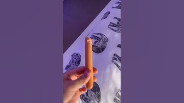 Kyle Thomas 💙 MYLO THE MEERKAT STOLE MY GLIZZY 🌭😂 kylethomas shorts