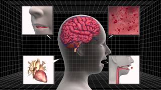 Judge rules brain-dead California teen can be taken off life support