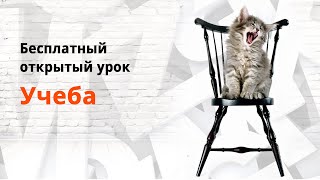 Открытый урок на тему Studies Открытый урок на тему Studies