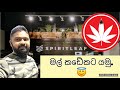    store   damiyavlogs lifeincanada cannabis