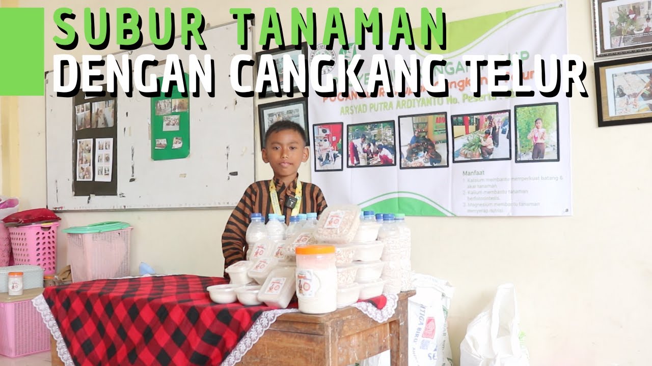 Tanaman Subur Dijamin Manjur dengan Pupuk Cangkang Telur