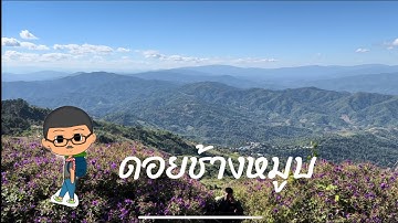 ดอยช้างมูบ จังหวัดเชียงราย | ฅนแรมทาง Vlog ep.26