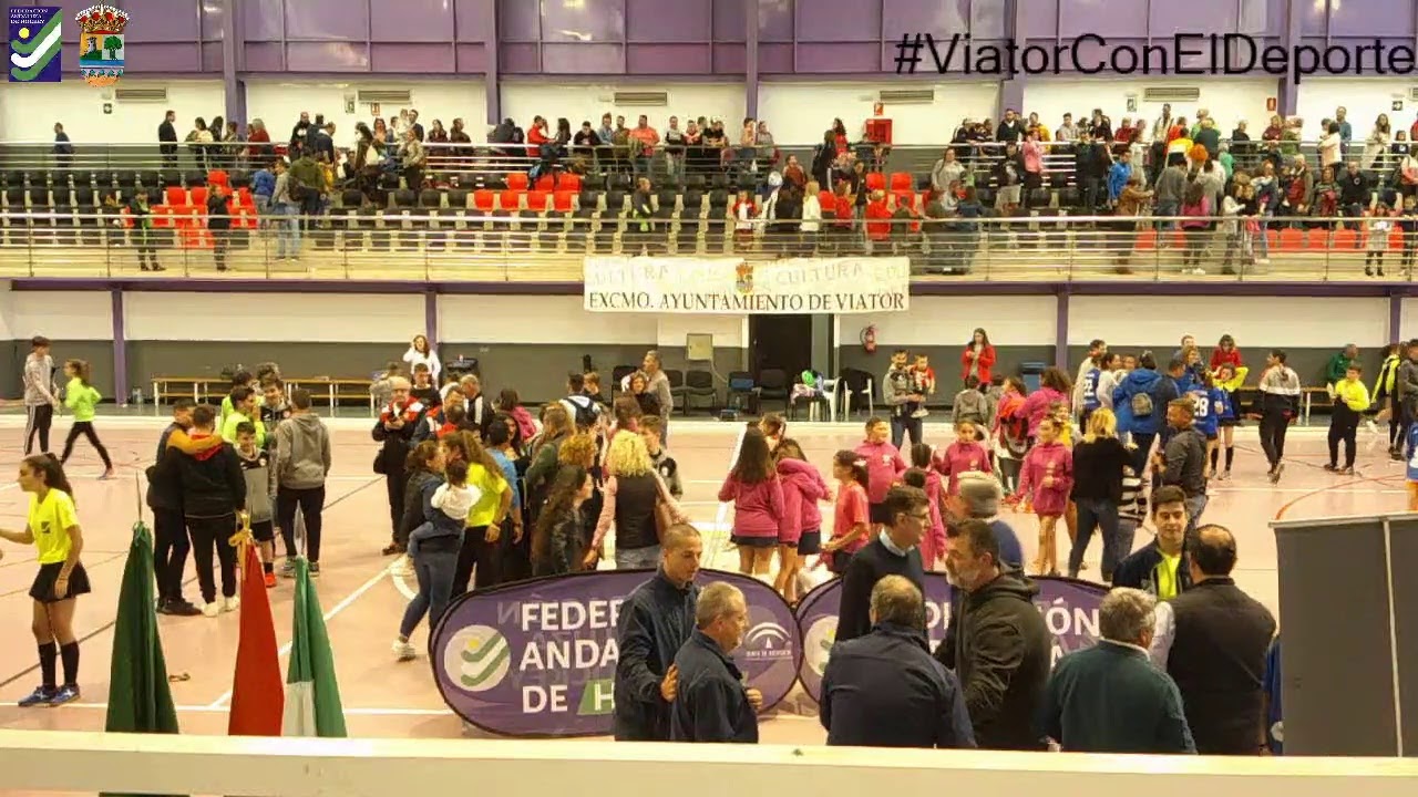 Cto Andalucia Alevin hockey sala FINAL Ch Alcala - Ch Pechina