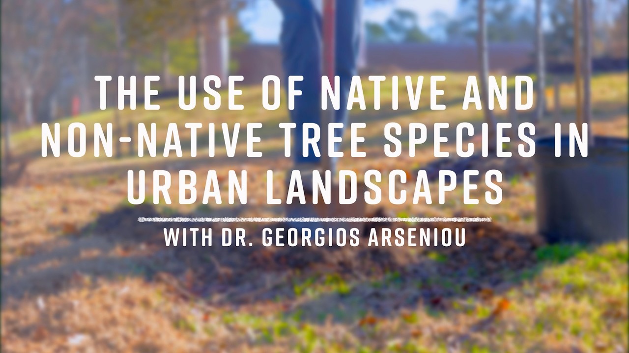 The Use of Native and Non-Native Tree Species in Urban Landscapes