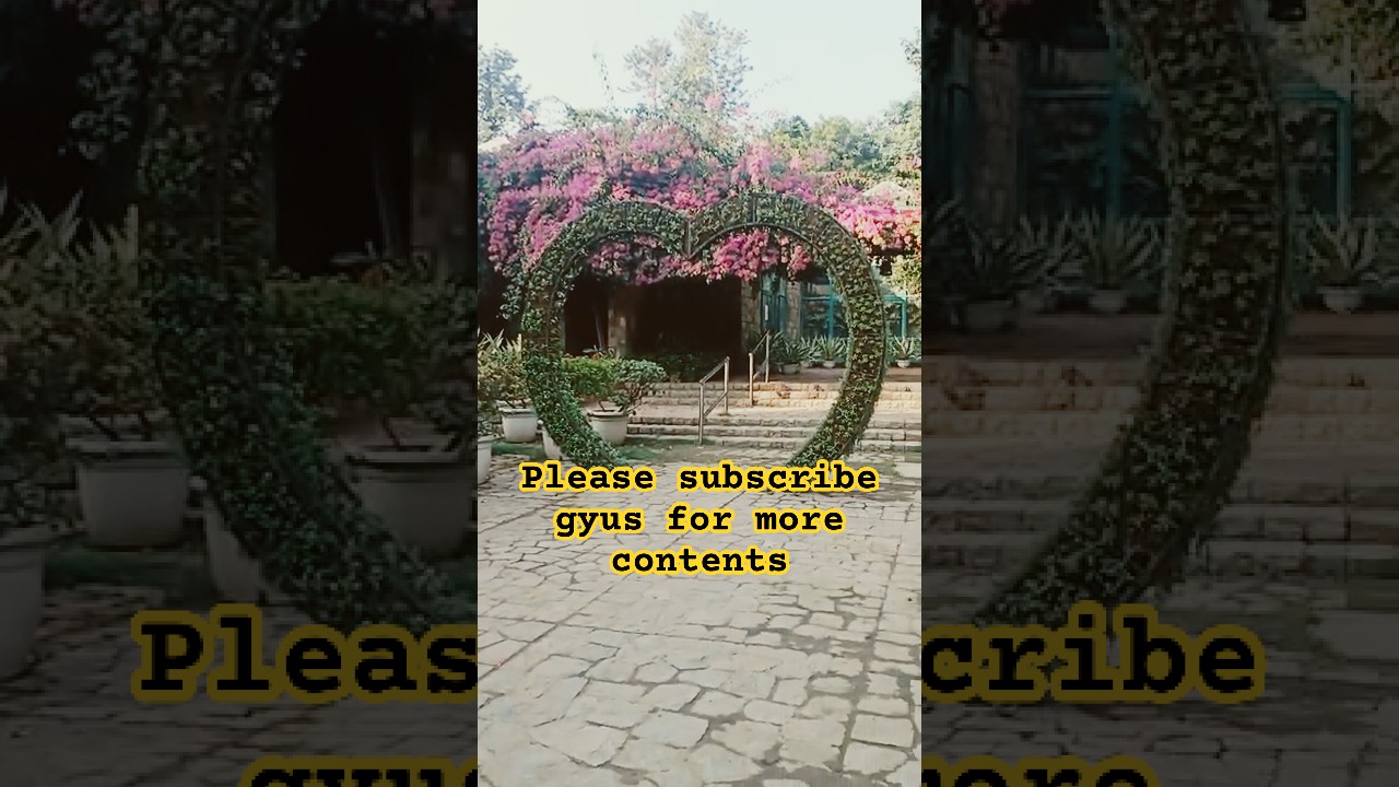 The Lodhi Garden, Delhi: A Beautiful Combination of History, Heritage and Nature❤️❤️❤️🇮🇳🇮🇳🇮🇳
