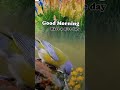 April 27 2024 