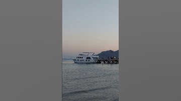تلاوة خاشعة للشيخ مشاري بن راشد العفاسي لآيات من سورة غافر #قرآن #القرآن_الكريم