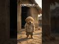 Continue #puppy #shorts #explore