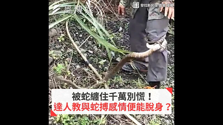 被蛇缠住千万别慌！达人教与蛇搏感情便能脱身？ - 天天要闻
