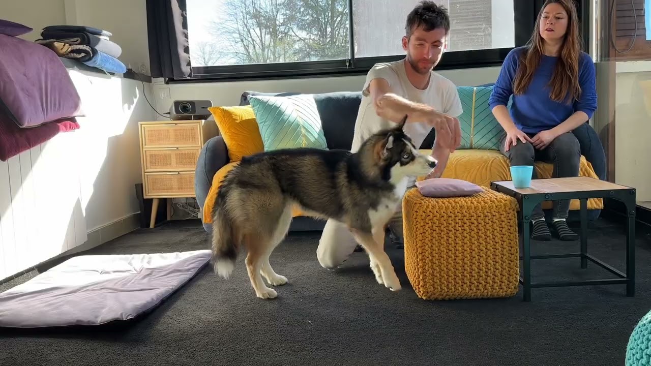 Formation ISCA Muzo+ - Préparation Examen blanc - Partie 1