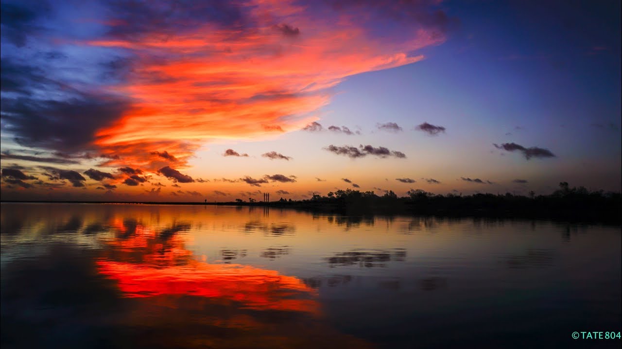 Trashy Line, Mud Donkey Kind of Day! Meow!!