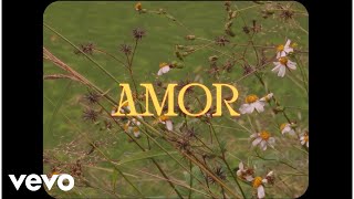 Jerrieboo - Amor (Official Music Video)