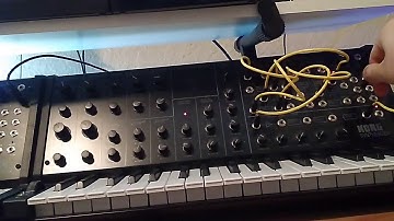 Korg MS-20 Mini fifths loop