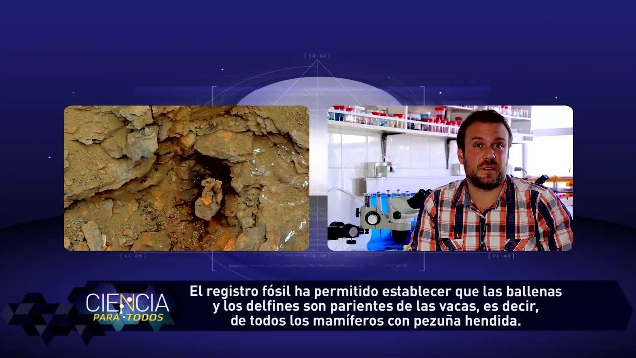 Ciencia para Todos Explora Conicyt - Dr. Alexander Vargas