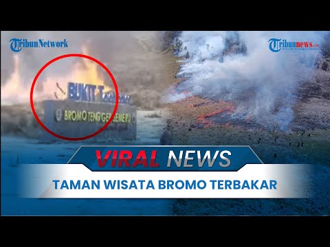 🔴VIRAL NEWS: Gunung Bromo Kebakaran Lagi, Diduga Gara-gara Pengunjung yang Prewedding