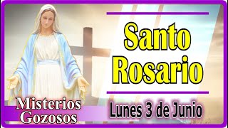 Santo Rosario CON LETANÍAS de hoy lunes 3 de junio 2024 MISTERIOS GOZOSOS. Rosario a la Virgen María