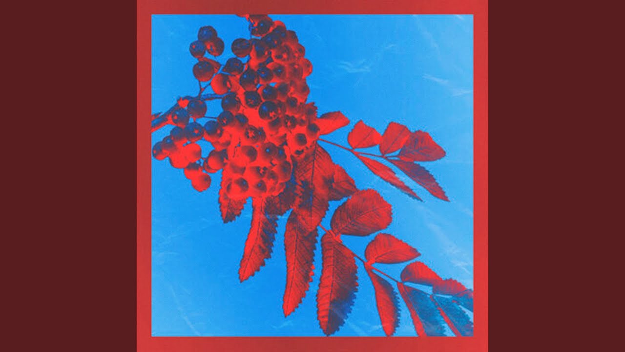 在 YouTube 上觀看「Снегири」 在 YouTube 上觀看「Снегири」