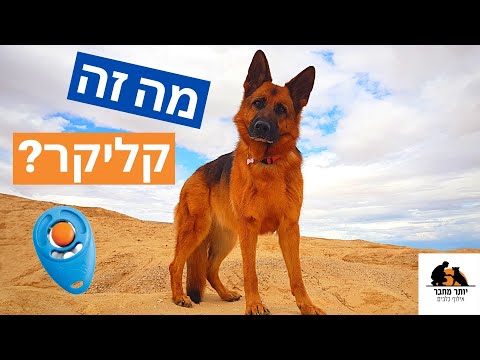 וִידֵאוֹ: מהו קליקר אוטומטי טוב?